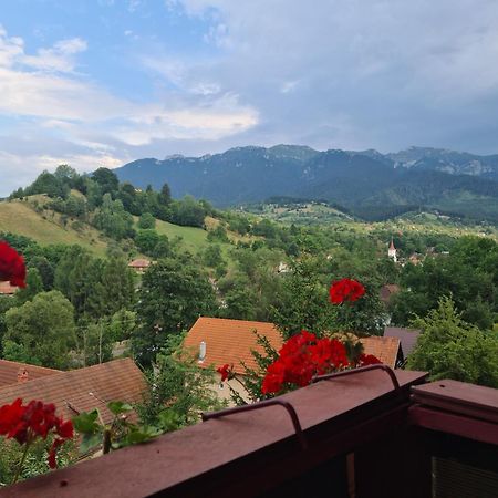Vila Muntii Bucegi & Spa Bran  Exteriör bild