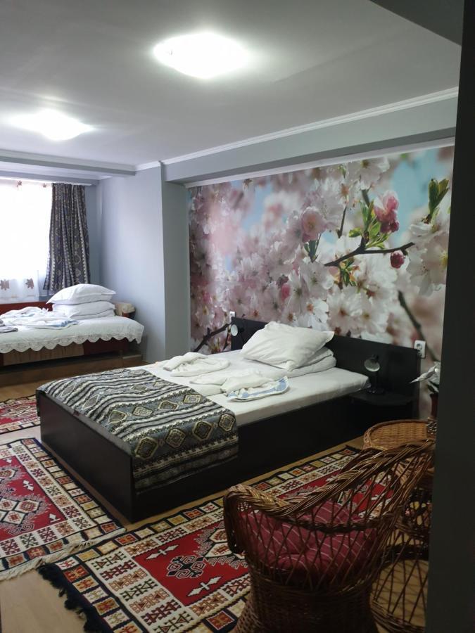 Vila Muntii Bucegi & Spa Bran  Exteriör bild