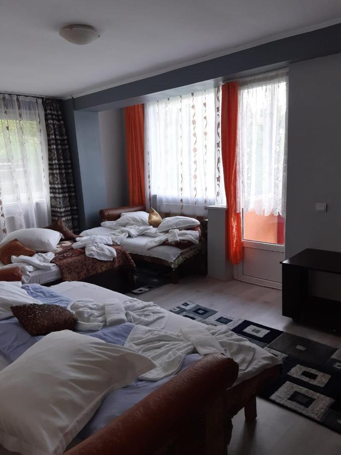 Vila Muntii Bucegi & Spa Bran  Exteriör bild