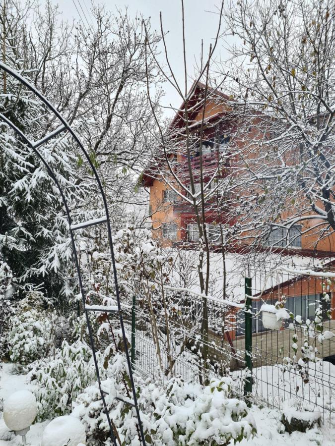 Vila Muntii Bucegi & Spa Bran  Exteriör bild