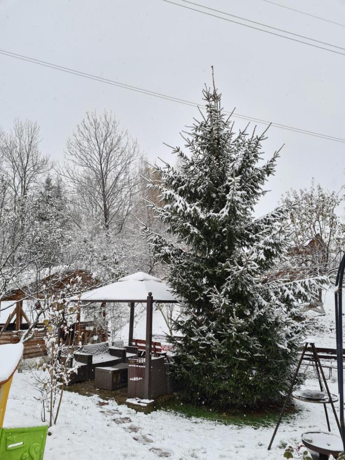 Vila Muntii Bucegi & Spa Bran  Exteriör bild