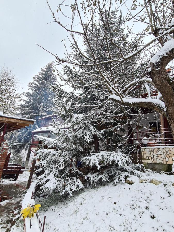 Vila Muntii Bucegi & Spa Bran  Exteriör bild