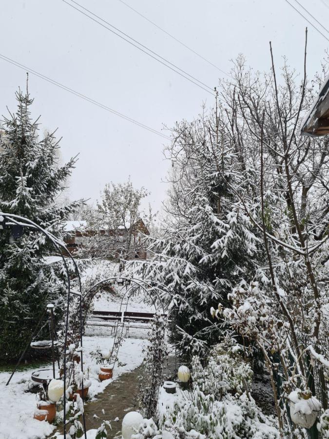 Vila Muntii Bucegi & Spa Bran  Exteriör bild