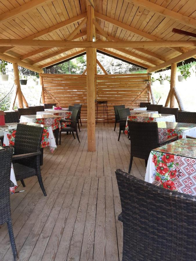 Vila Muntii Bucegi & Spa Bran  Exteriör bild