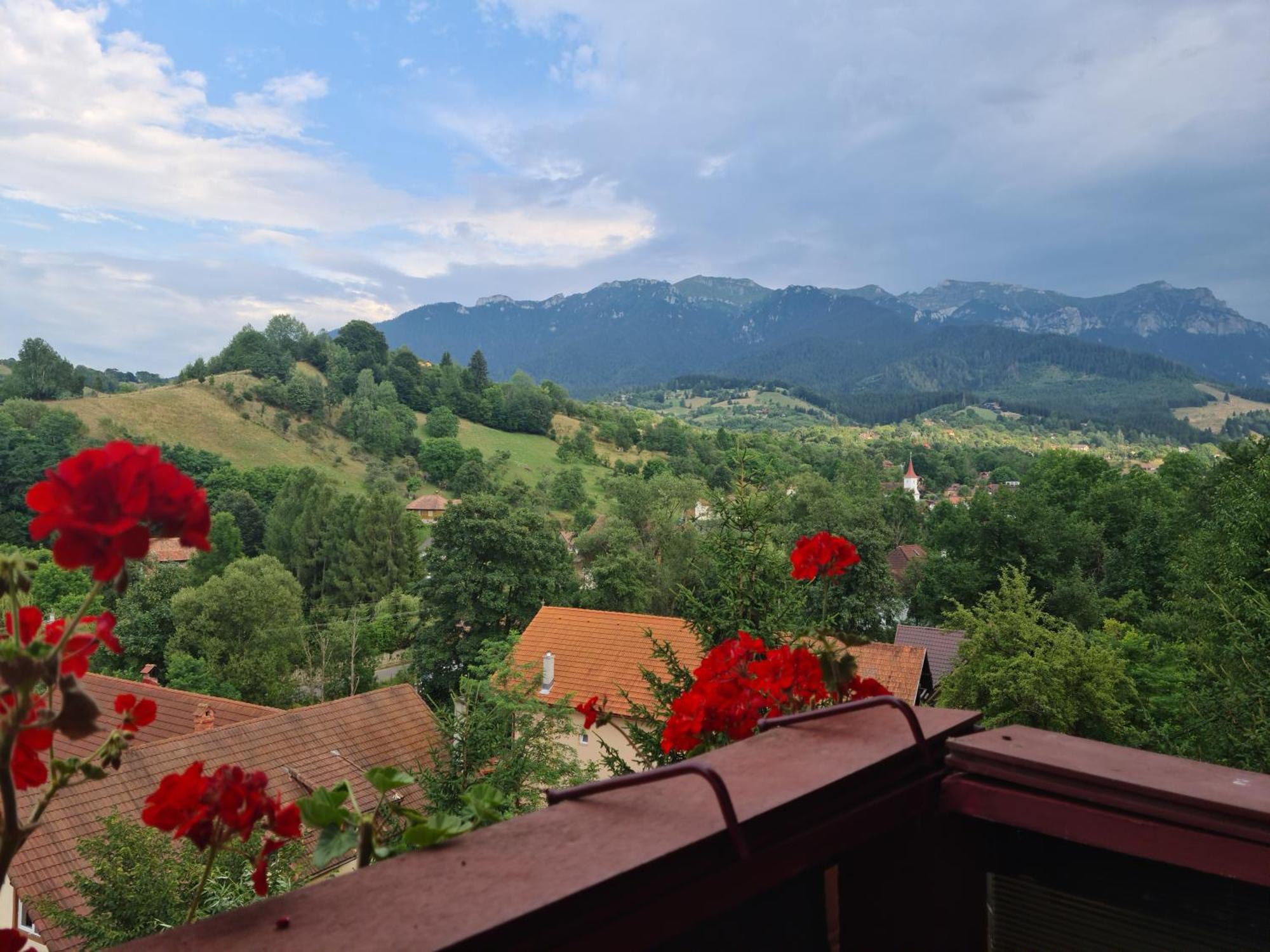 Vila Muntii Bucegi & Spa Bran  Exteriör bild