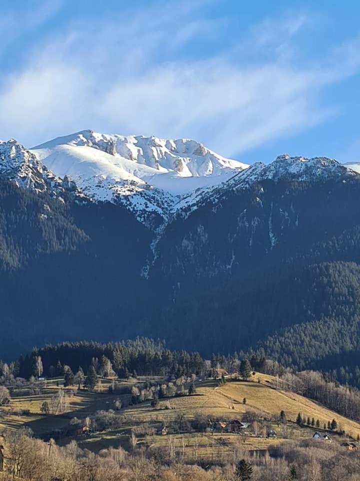 Vila Muntii Bucegi & Spa Bran  Exteriör bild