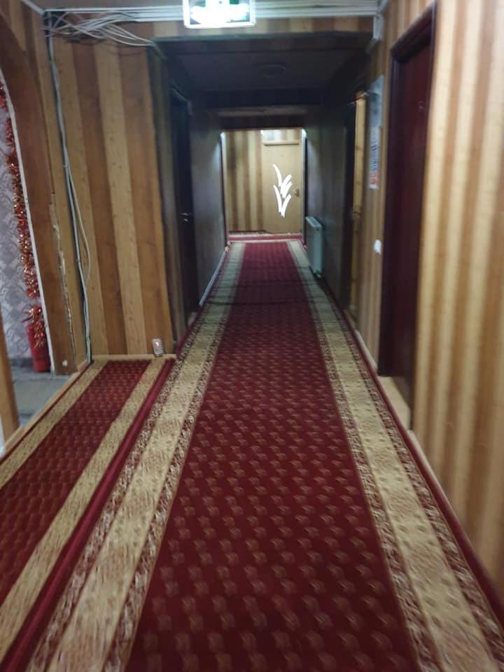 Vila Muntii Bucegi & Spa Bran  Exteriör bild