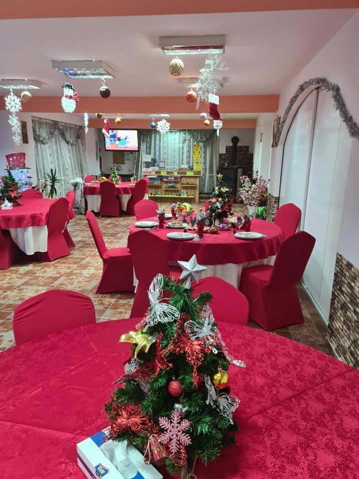 Vila Muntii Bucegi & Spa Bran  Exteriör bild