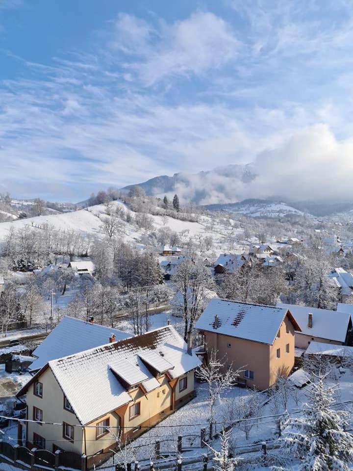 Vila Muntii Bucegi & Spa Bran  Exteriör bild