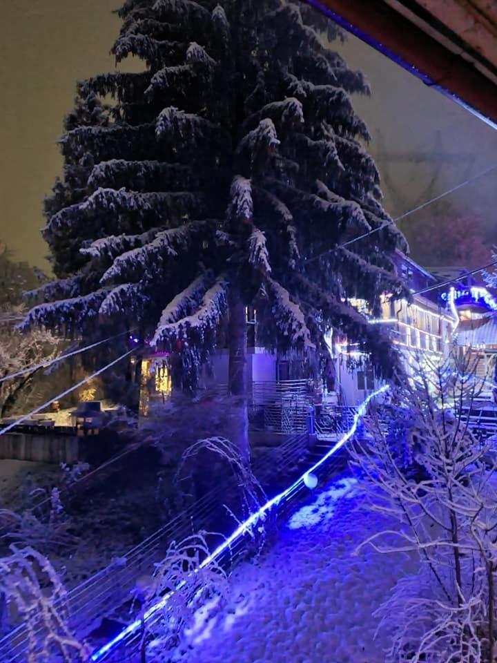 Vila Muntii Bucegi & Spa Bran  Exteriör bild