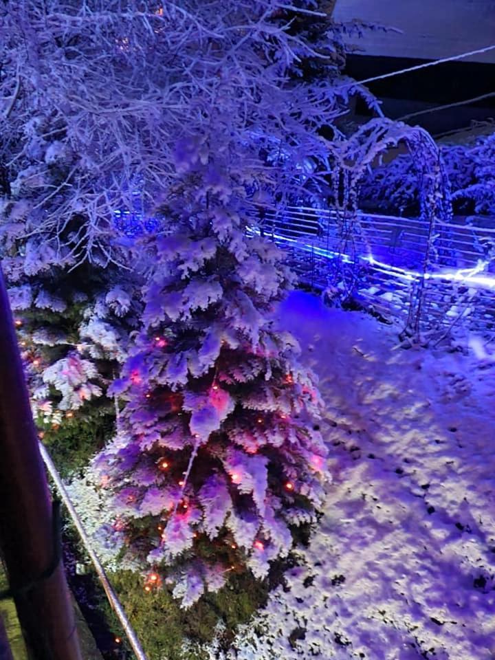 Vila Muntii Bucegi & Spa Bran  Exteriör bild